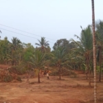 60 Cents of Agricultural Land For Sale- Moodubelle, Udupi