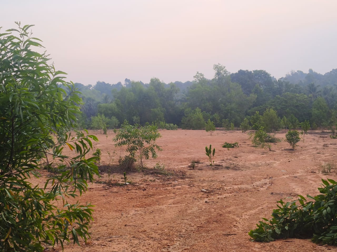 493258513_122109698618836394_2895193901730333990_n