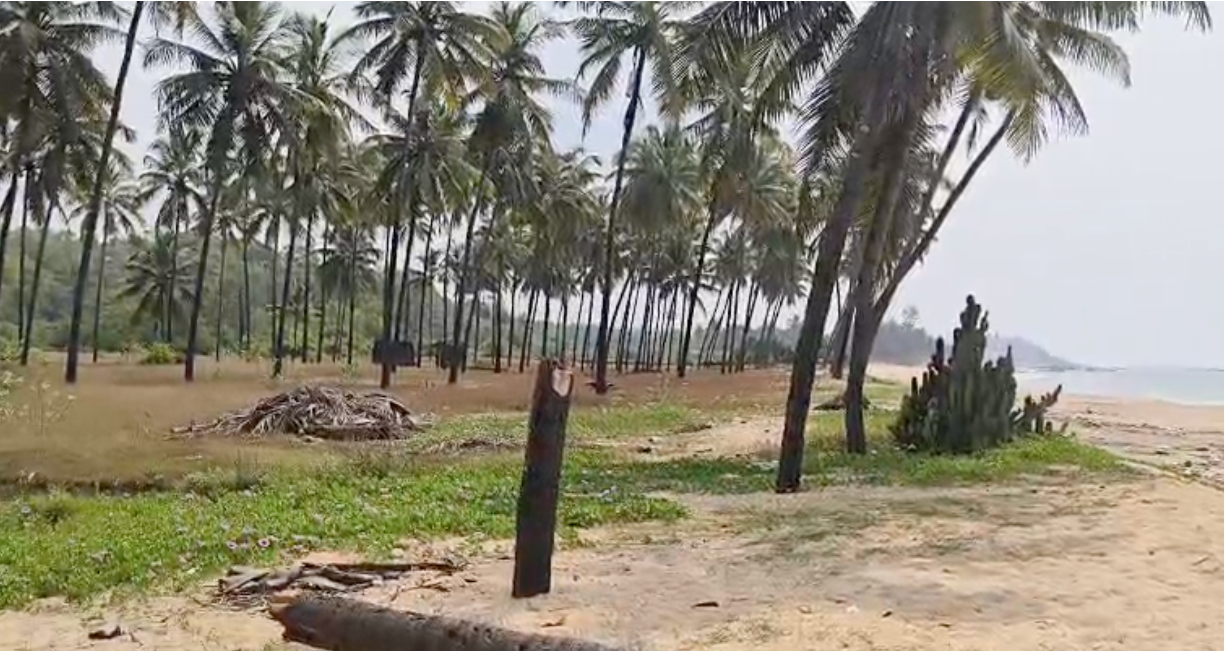 Beachside Property- Bhatkal