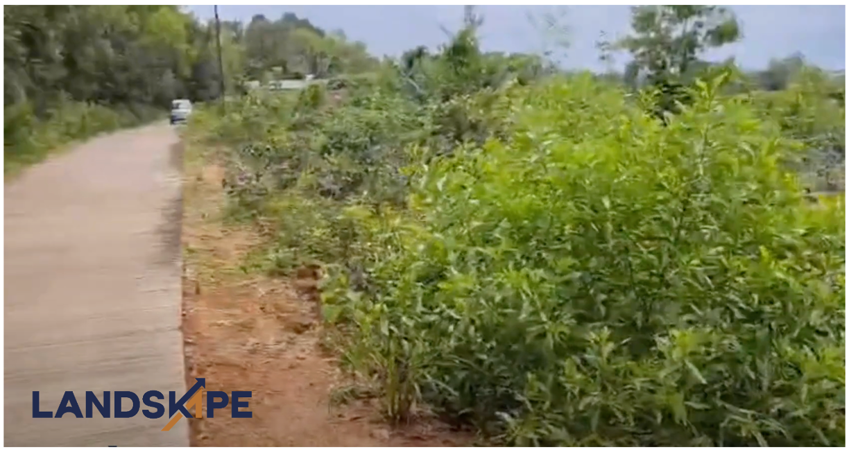 25 Cents Land in Perdoor