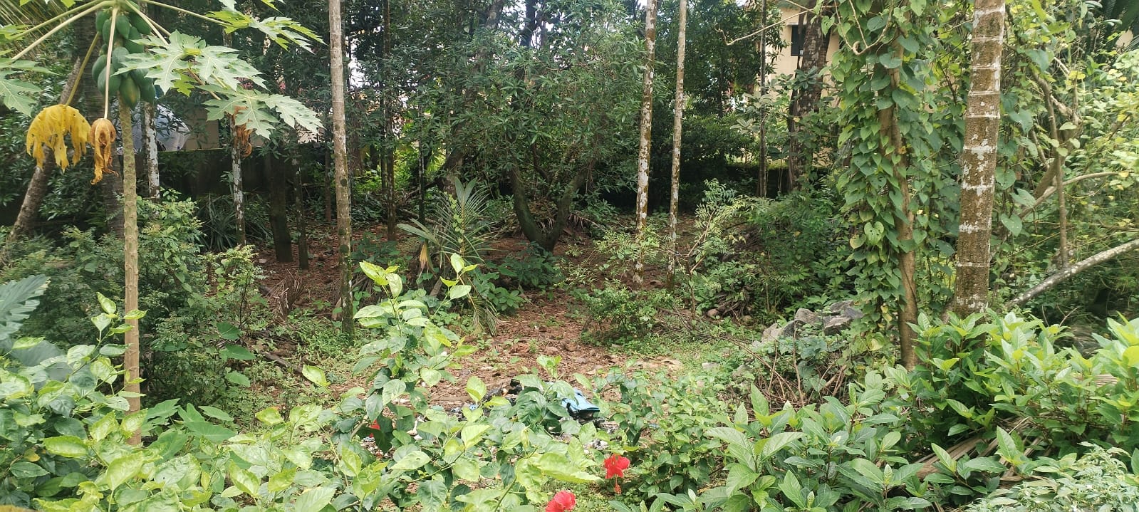 WhatsApp Image 2025-08-13 at 13.29.04