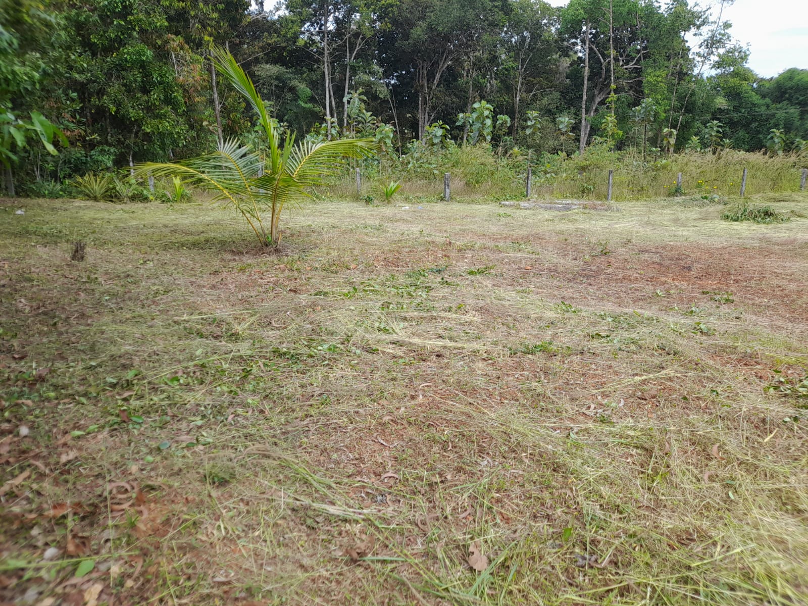 WhatsApp Image 2025-09-08 at 09.59.14