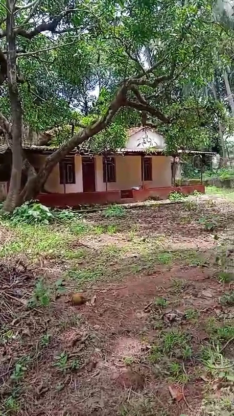 IMG_20260121_12442802