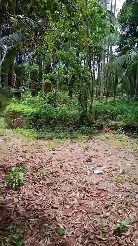 IMG_20260121_12444690