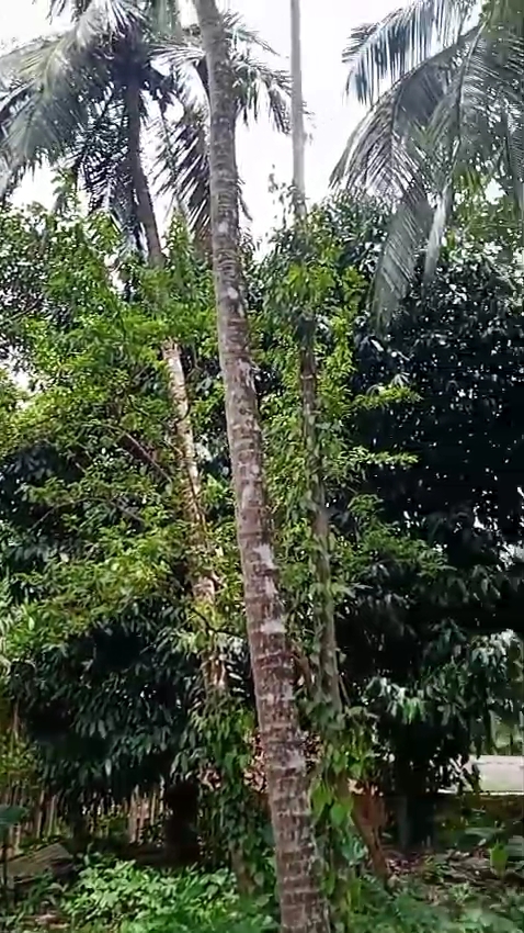 IMG_20260121_12455546