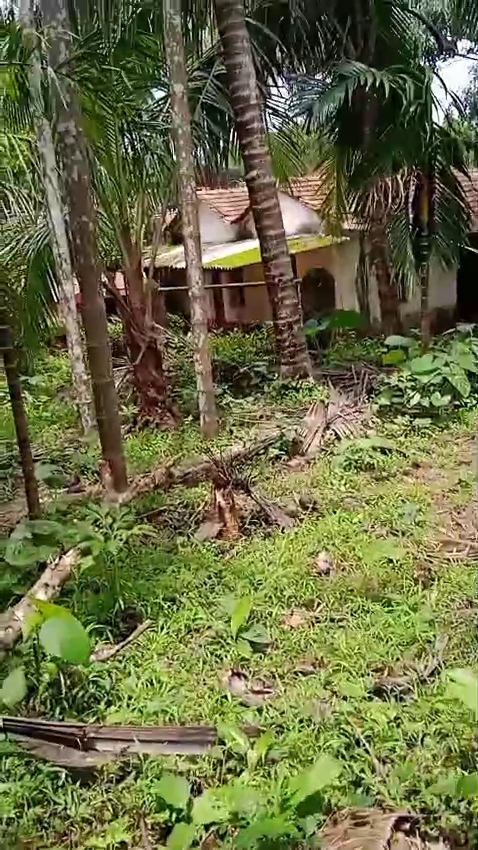 IMG_20260121_12465595