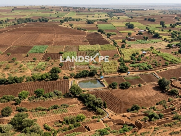 900 Acres of Prime Land for Sale in Gulbarga (Kalaburagi), Karnataka