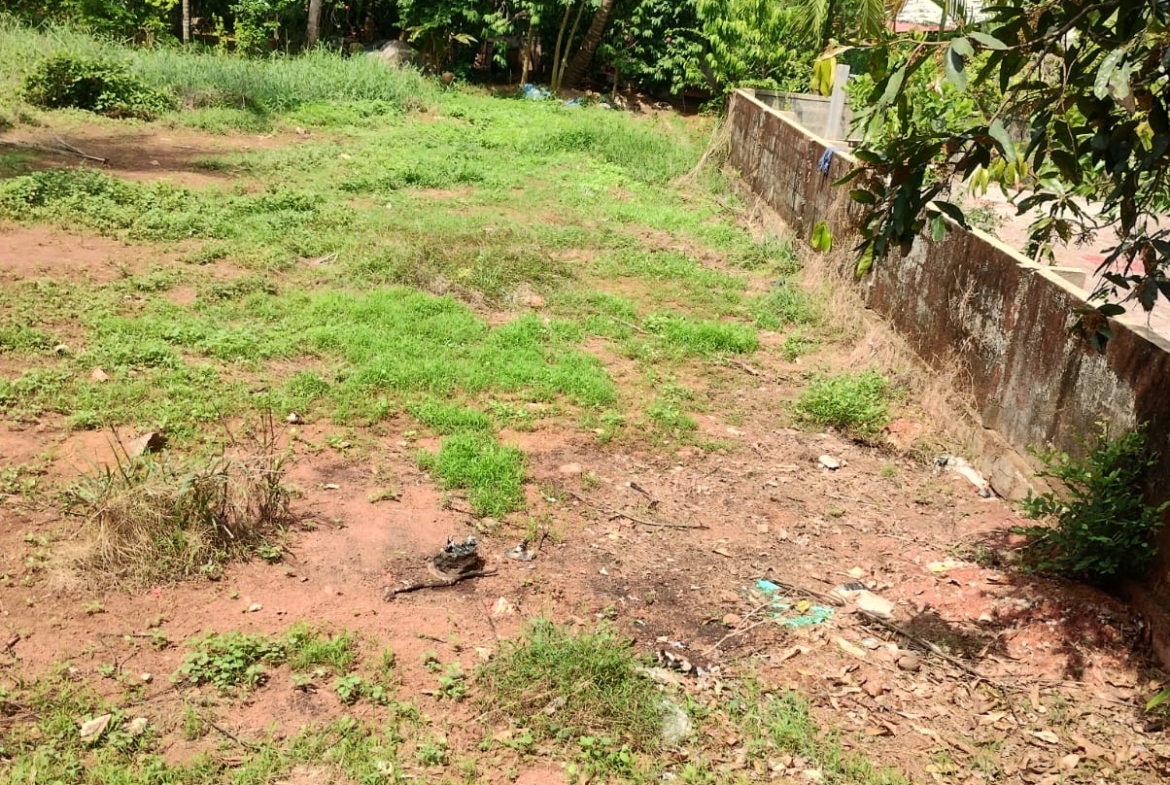 🏡 Prime Plot for Sale in Nayampalli, Santhekatte – Udupi ✨