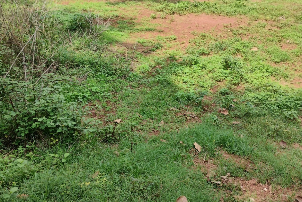 🏡 Prime Plot for Sale in Nayampalli, Santhekatte – Udupi ✨