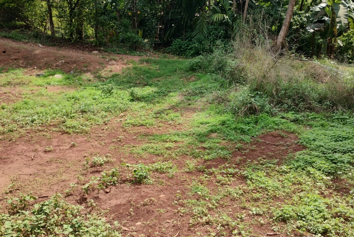 🏡 Prime Plot for Sale in Nayampalli, Santhekatte – Udupi ✨