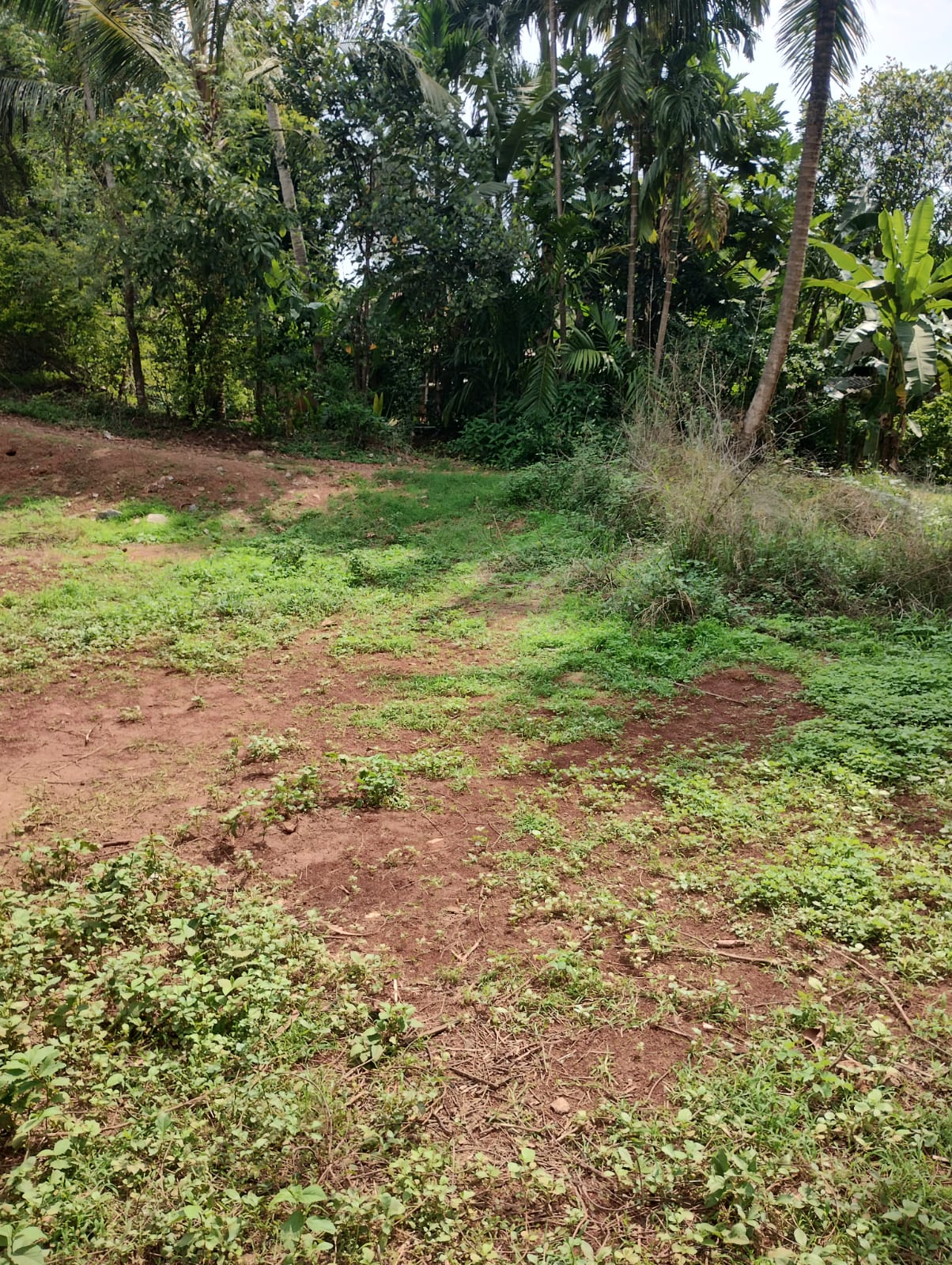 WhatsApp Image 2026-05-28 at 10.23.02 (2) 🏡 Prime Plot for Sale in Nayampalli, Santhekatte – Udupi ✨