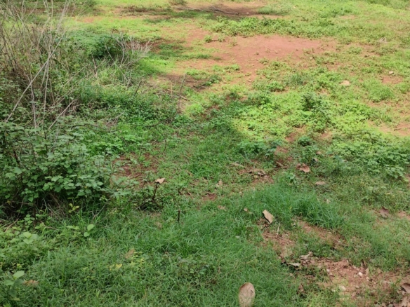 🏡 Prime Plot for Sale in Nayampalli, Santhekatte – Udupi ✨