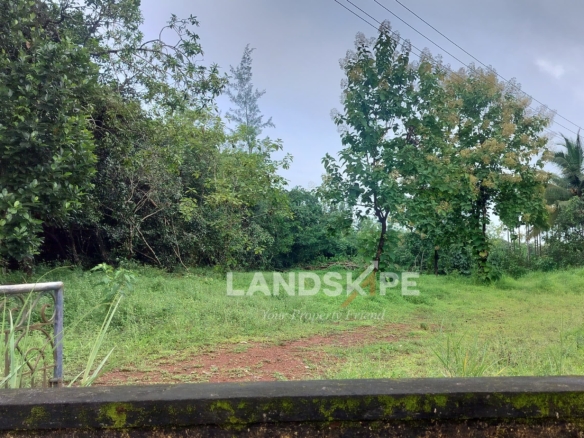 🌿 50 Cents Agricultural Land For Sale – Arasikatte, Bantakal – Udupi