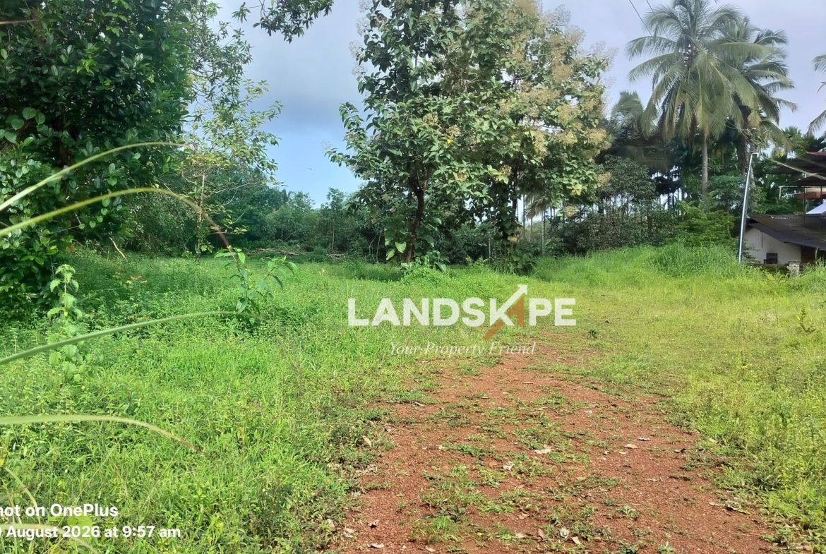 🌿 50 Cents Agricultural Land For Sale – Arasikatte, Bantakal – Udupi