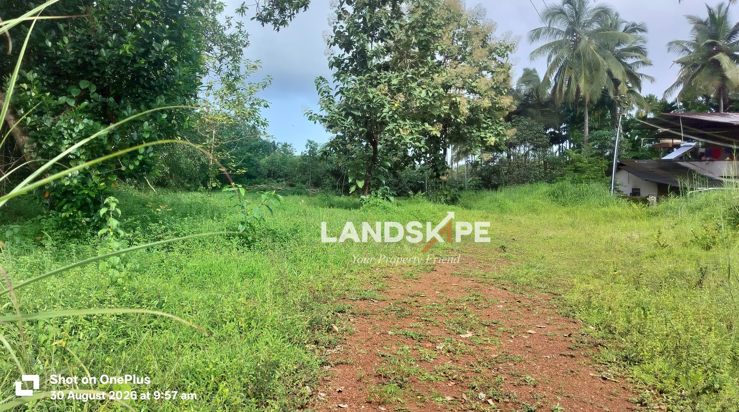 🌿 50 Cents Agricultural Land For Sale – Arasikatte, Bantakal – Udupi