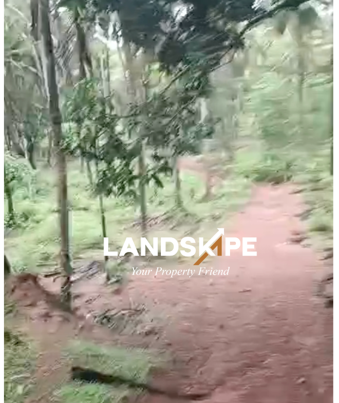 Agricultural Estate For Sale | Byndoor, Udupi 🌴🌿