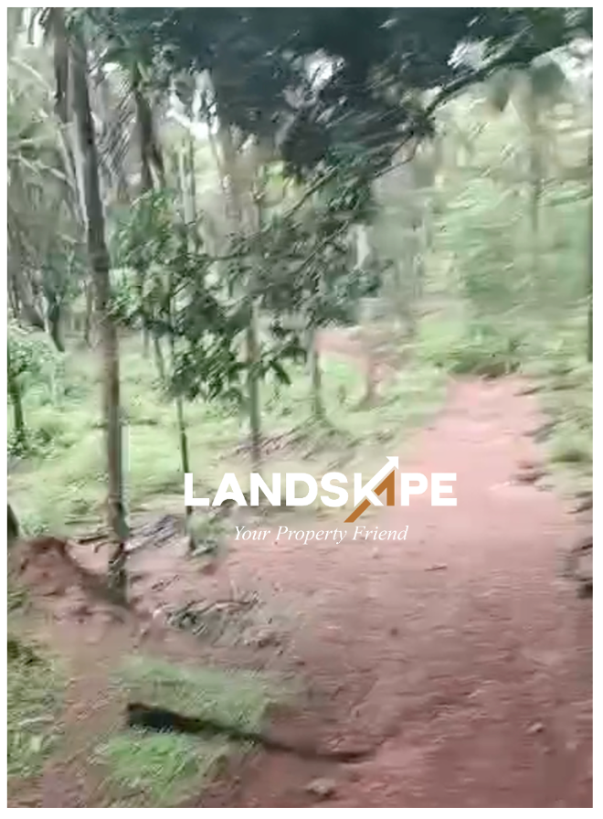 Agricultural Estate For Sale | Byndoor, Udupi 🌴🌿