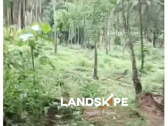 Agricultural Estate For Sale | Byndoor, Udupi 🌴🌿