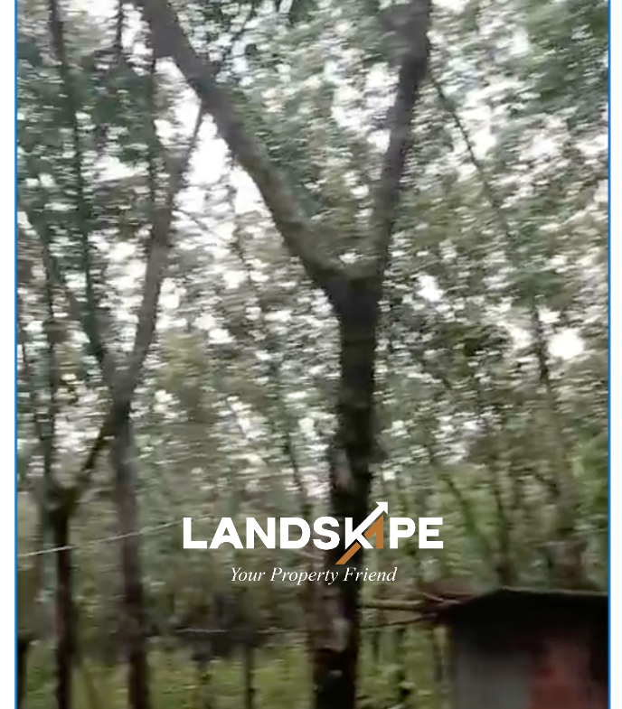 Agricultural Estate For Sale | Byndoor, Udupi 🌴🌿