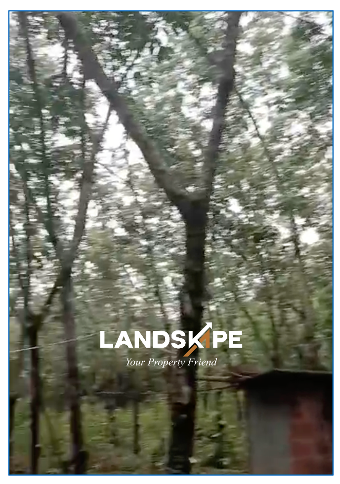 Agricultural Estate For Sale | Byndoor, Udupi 🌴🌿