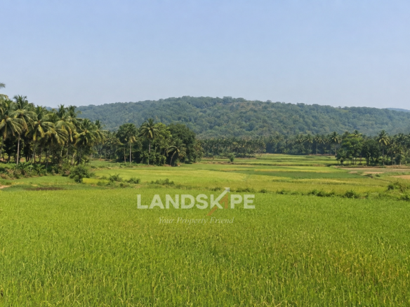 🌿Premium Agricultural Property for Sale – High Investment Potential🌿