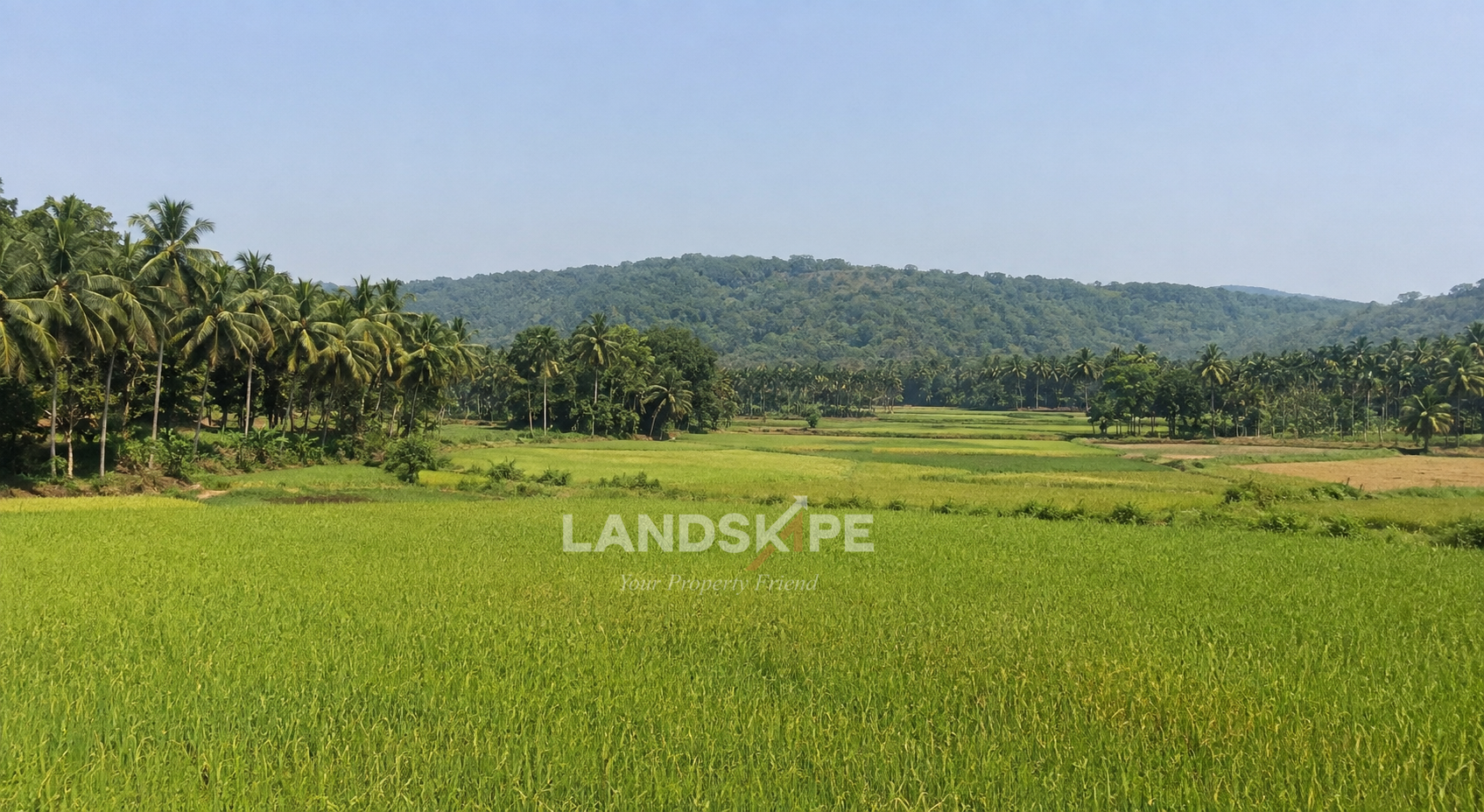 🌿Premium Agricultural Property for Sale – High Investment Potential🌿