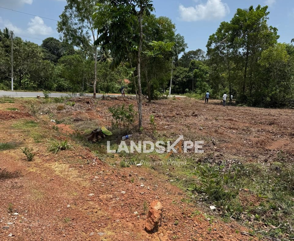 🏡 2.06 Acres Of Converted Land For Sale.                                📍Adapadi Road, Near Palli