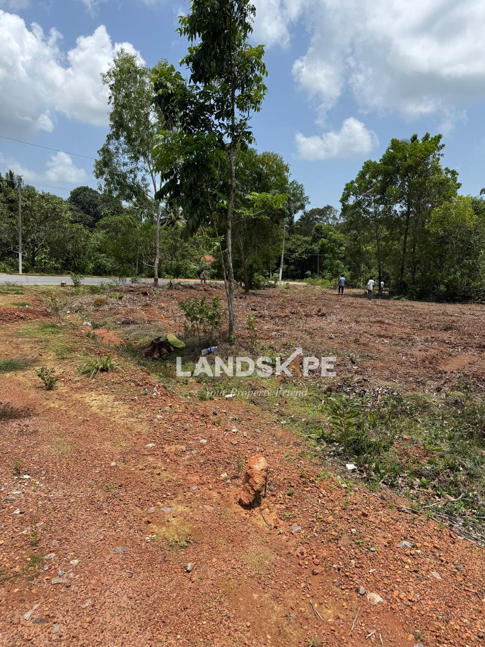 🏡 2.06 Acres Of Converted Land For Sale.                                📍Adapadi Road, Near Palli