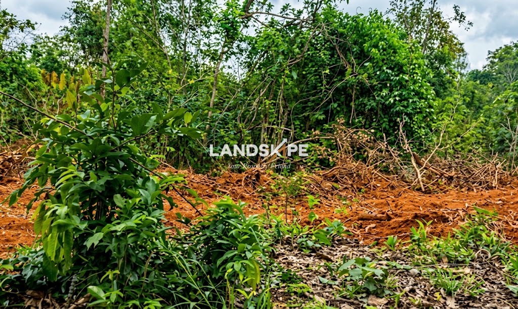 🌱 4 Acres of Lush Green Land for sale in Anjar, Hiriadka