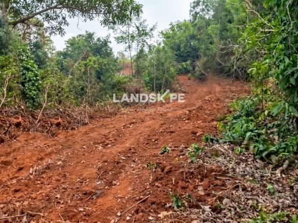🌱 4 Acres of Lush Green Land for sale in Anjar, Hiriadka