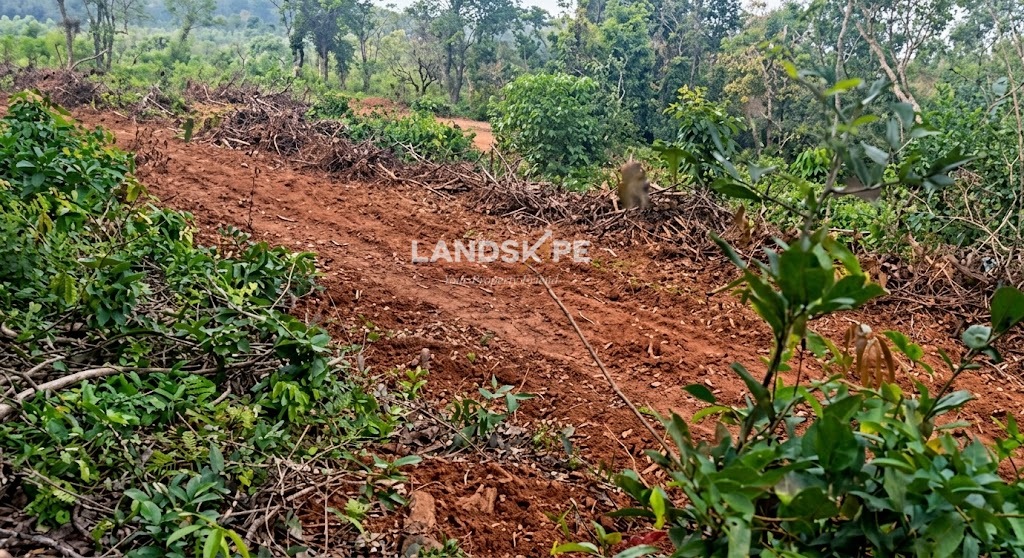 🌱 4 Acres of Lush Green Land for sale in Anjar, Hiriadka